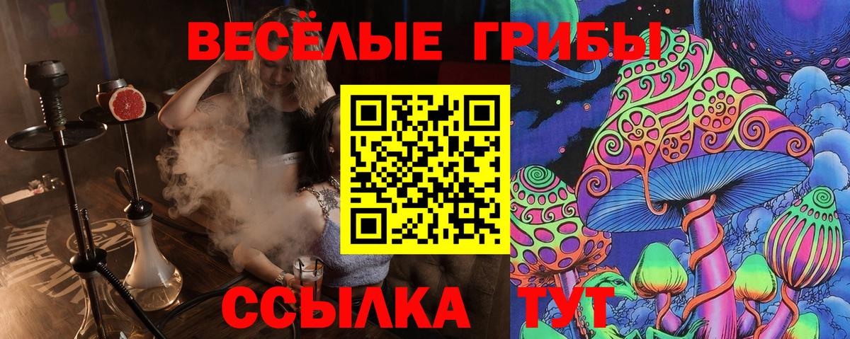 Киреевск  Галлюциногенные грибы MAGIC MUSHROOMS  Вход с VPN 